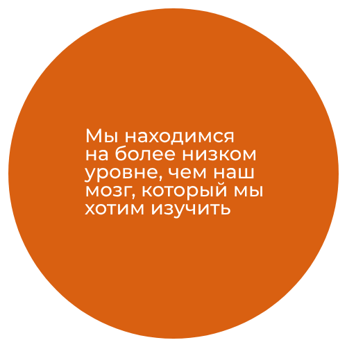mozg-uroven.png инвестиции в мозг